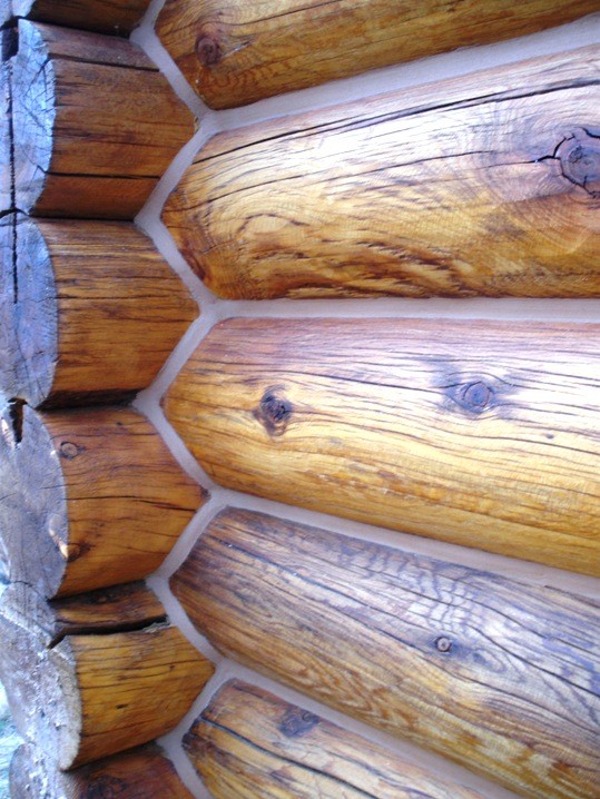 Dom uszczelniony kitem LOG HOME
 w kolorze mahoń
